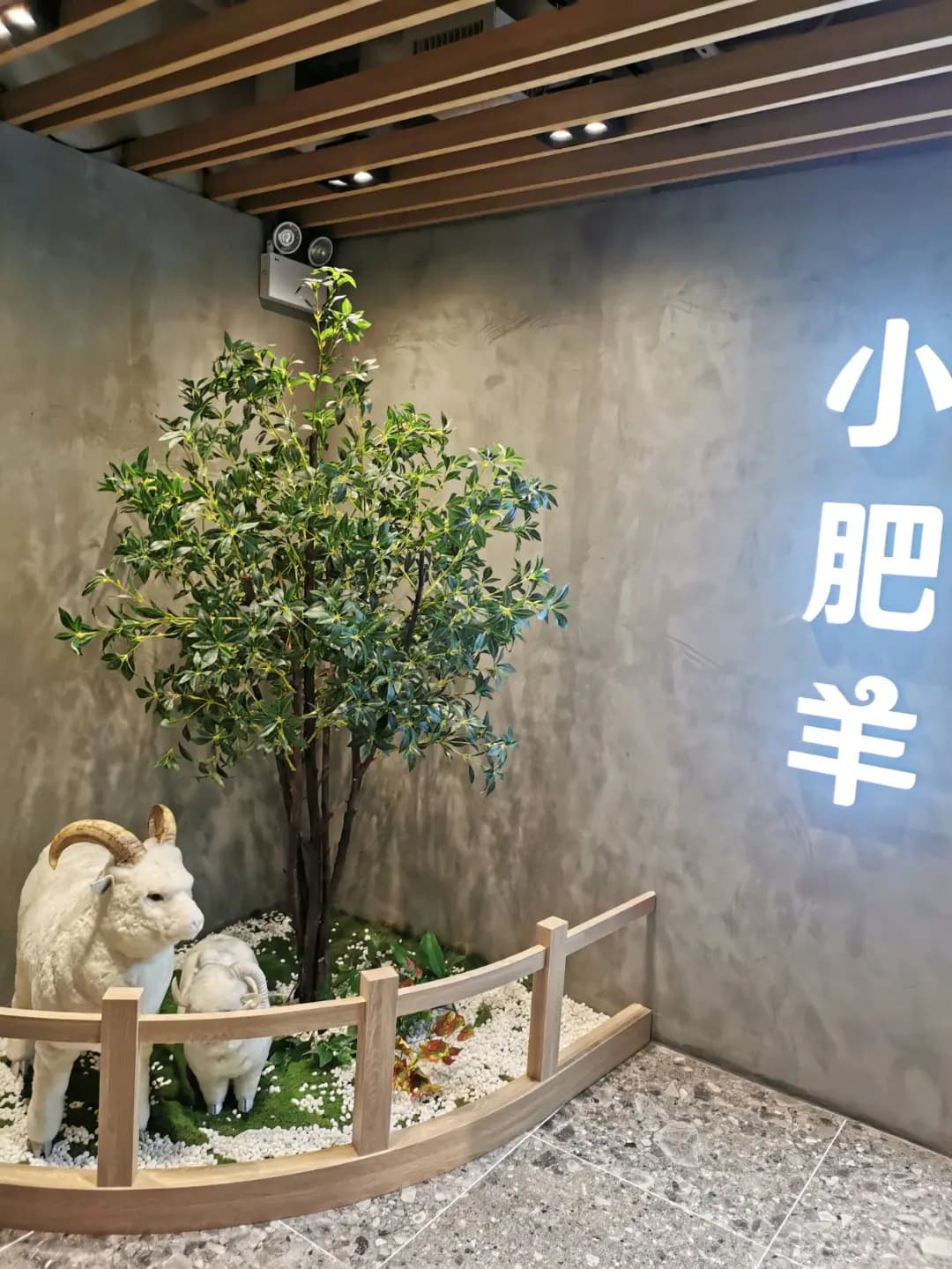 小肥羊 photo 6