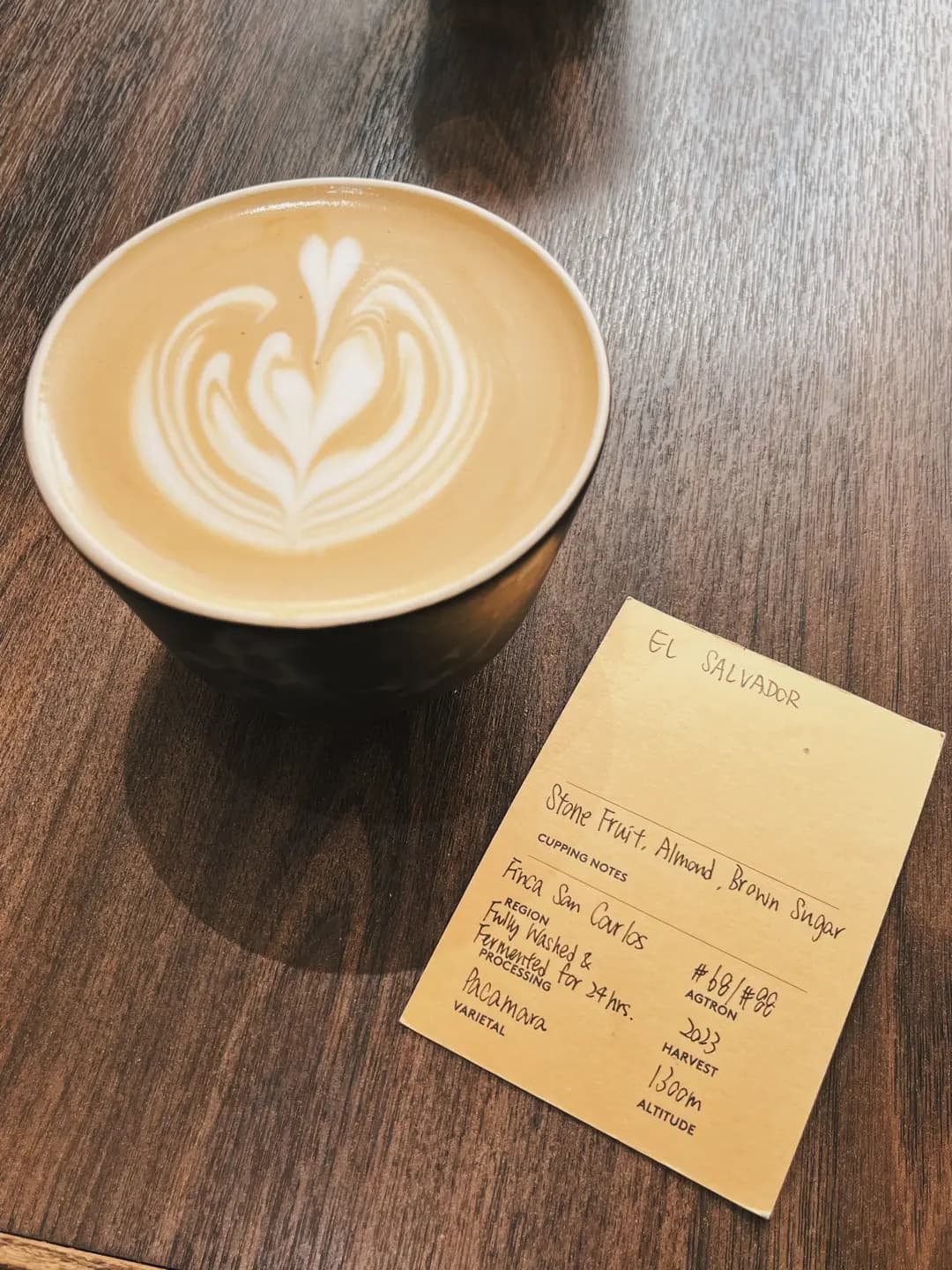 Oma Specialty Coffee photo 6