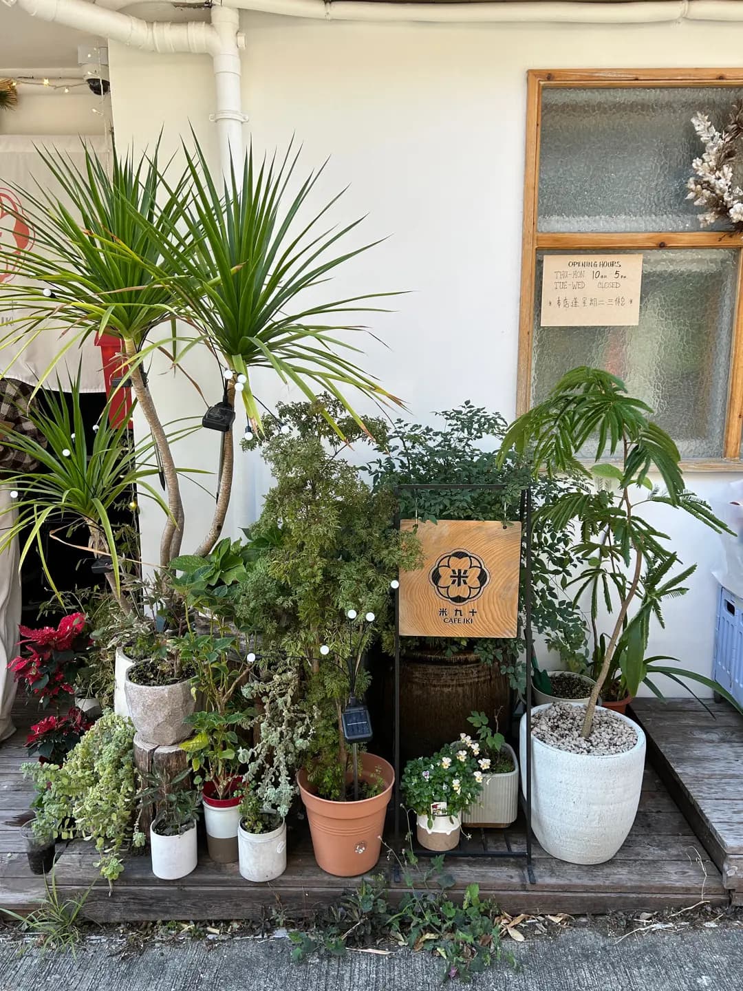 米九十 photo 3