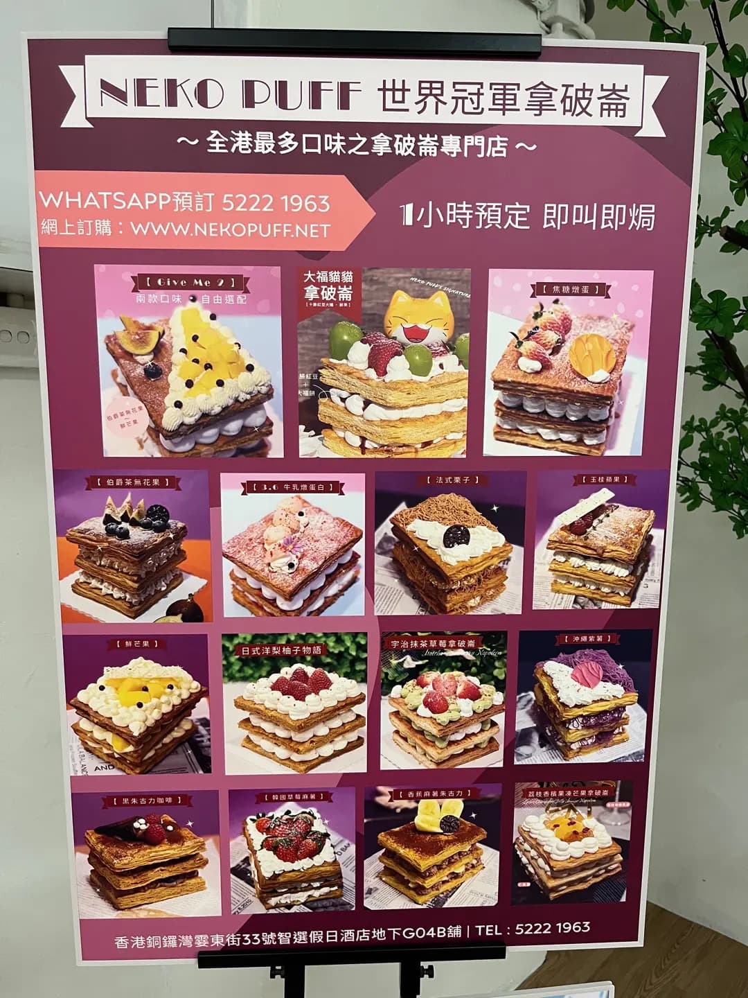 Neko Puff photo 4