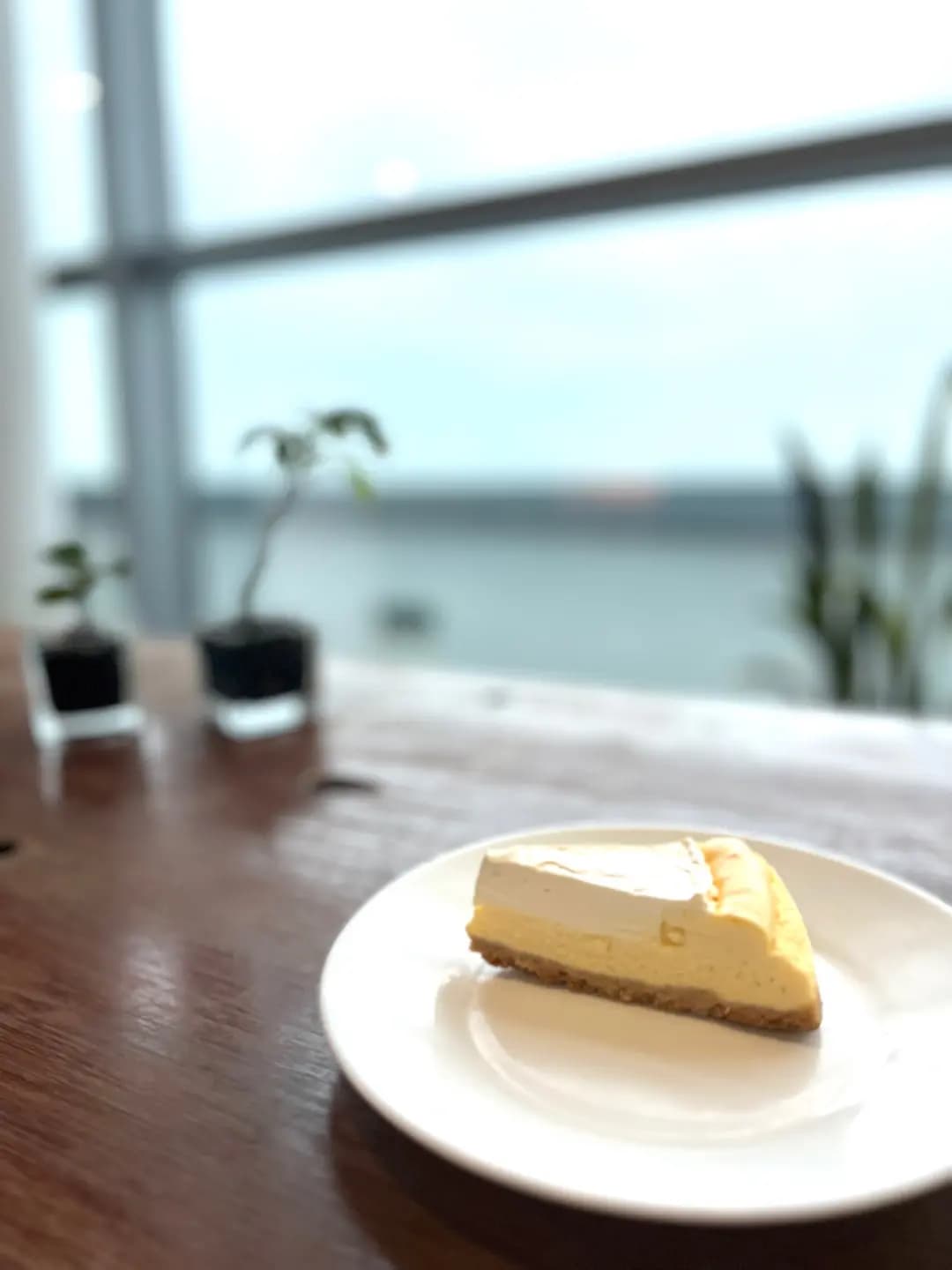 源 · 茶 photo 3