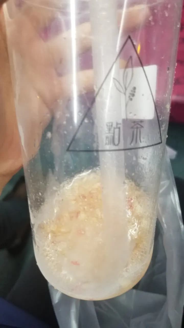 點茶 photo 4