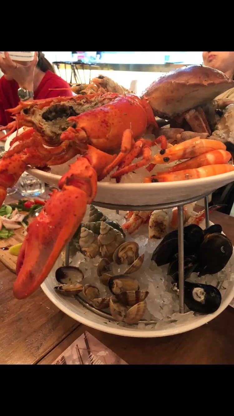 Taylor Shellfish Farms (高街) photo 8
