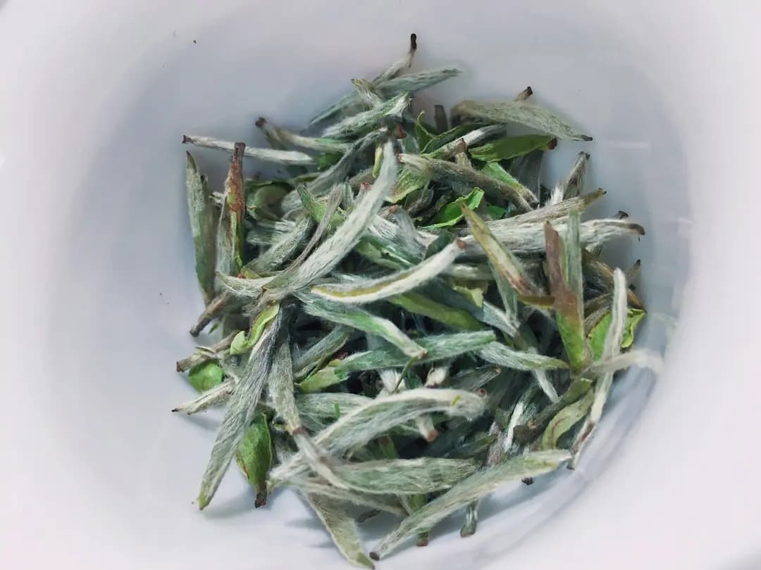 福茗堂茶莊 photo 6