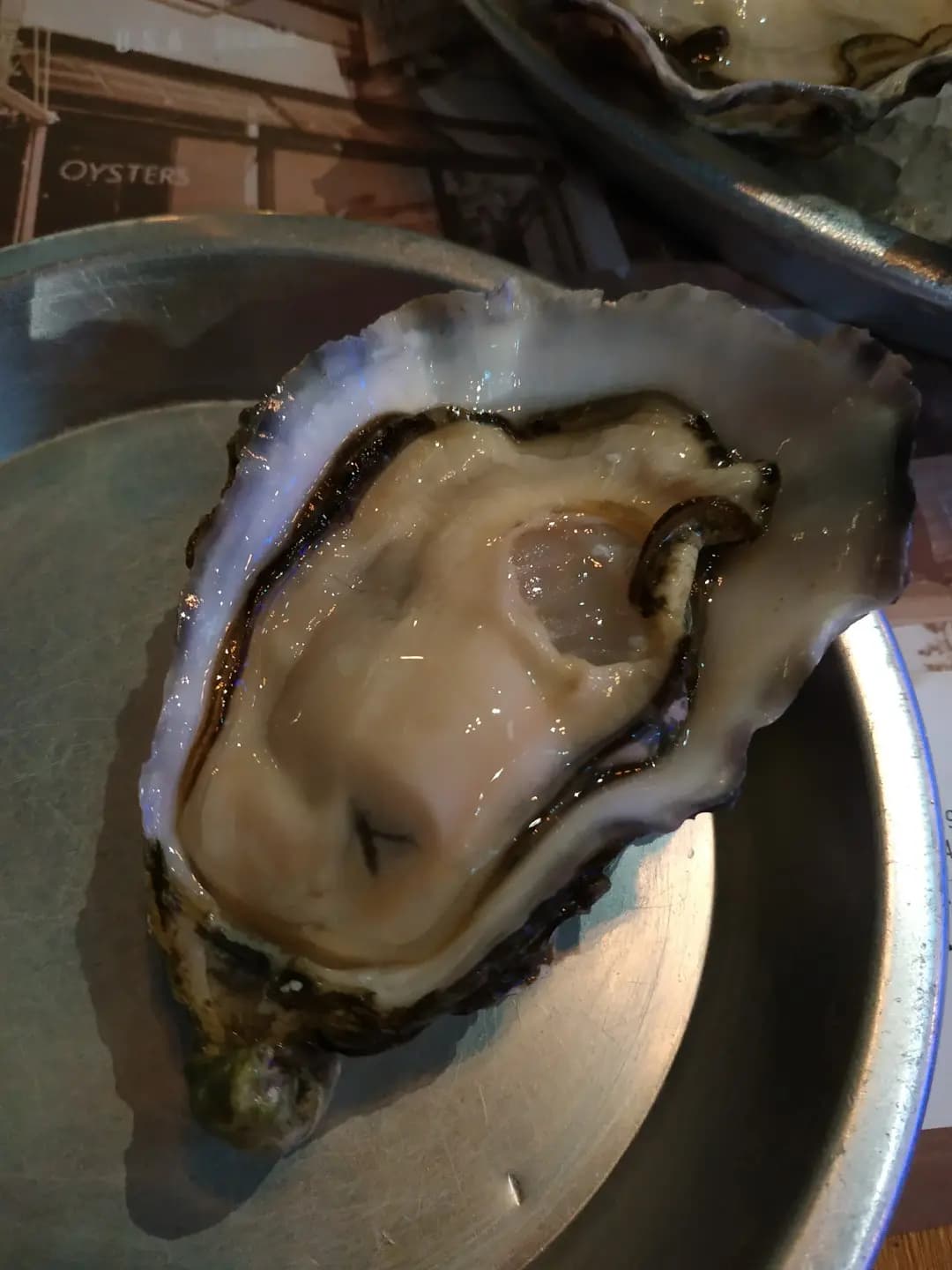 Taylor Shellfish Farms (高街) photo 7