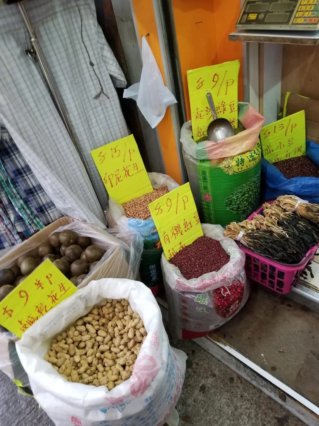 天然椰子號 photo 2