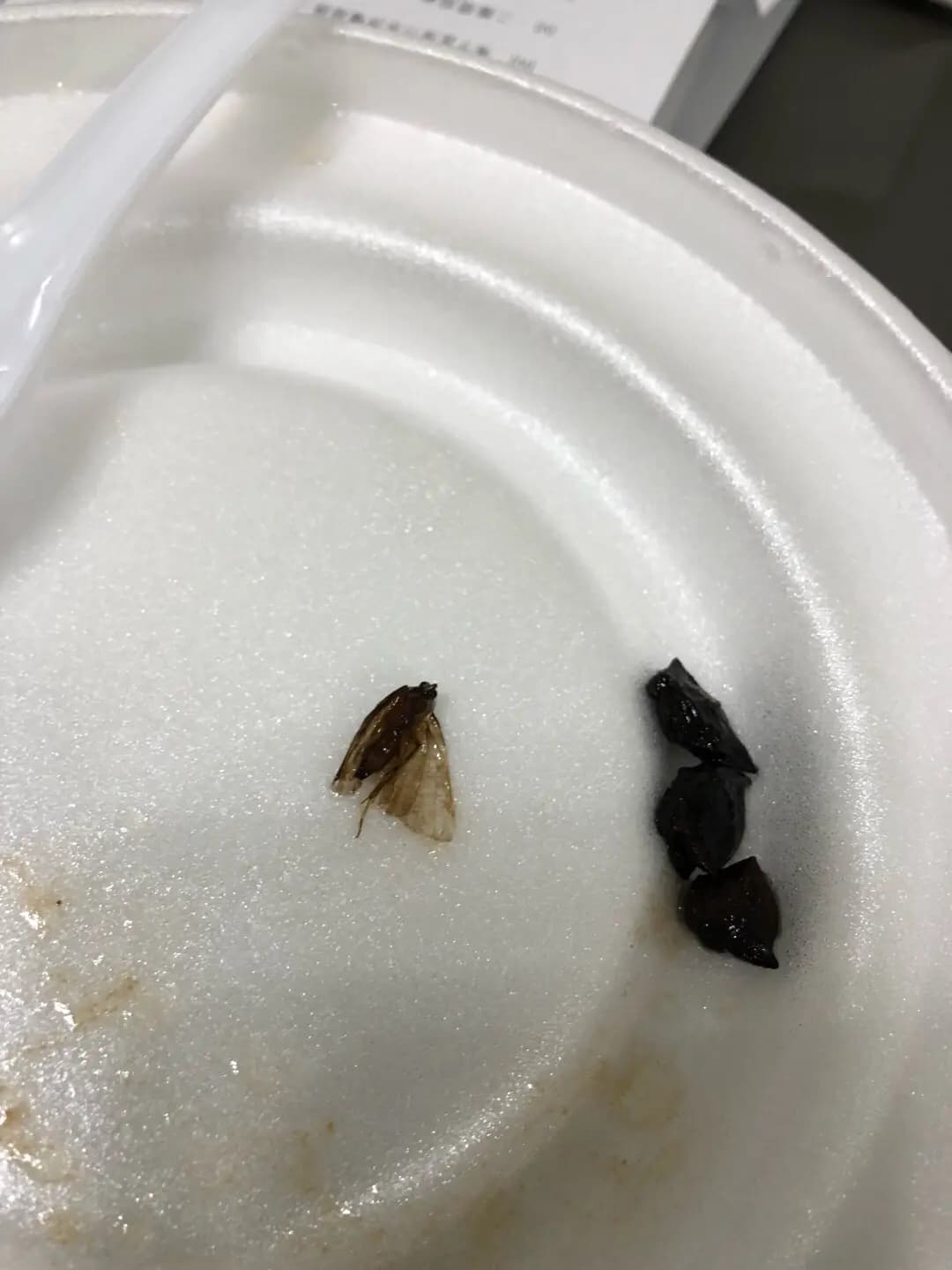 銀河車仔麵小食 photo 8