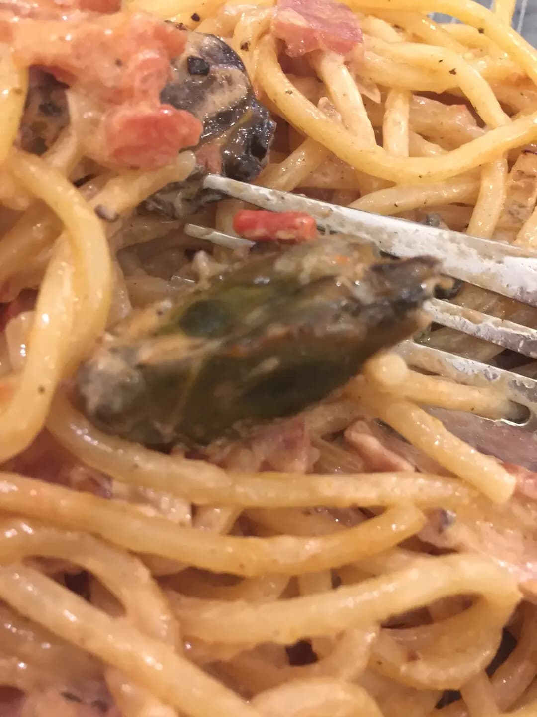 Wanna Eat photo 3