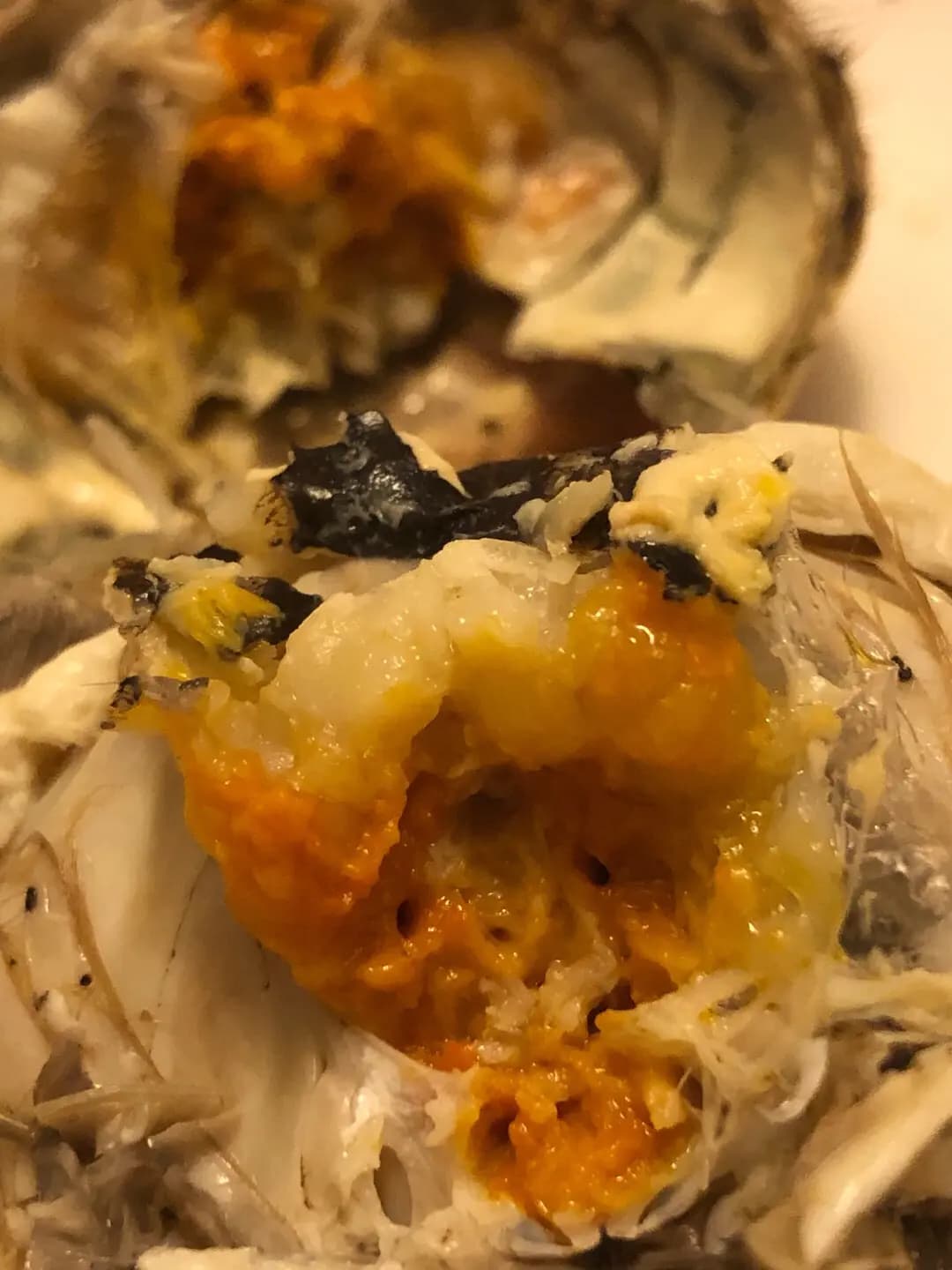 上海鴻福號 photo 1
