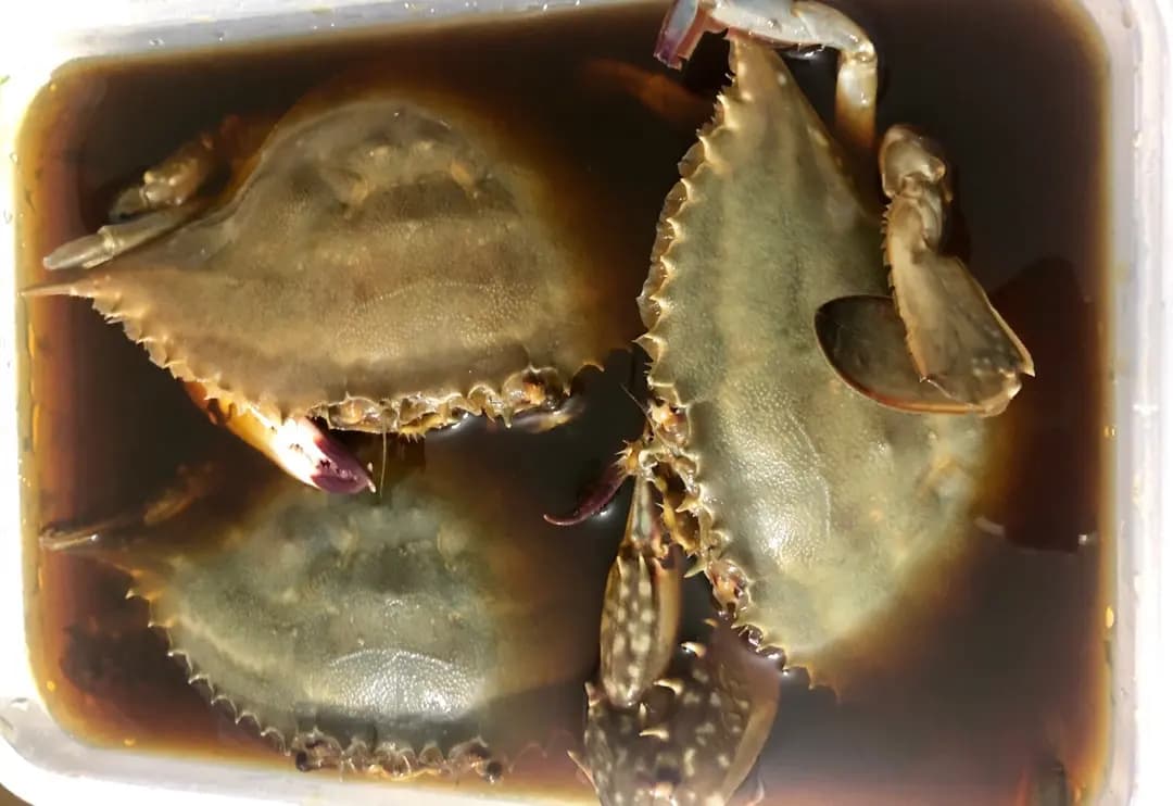 白飯神偷-韓國醬油蟹專門店 photo 4