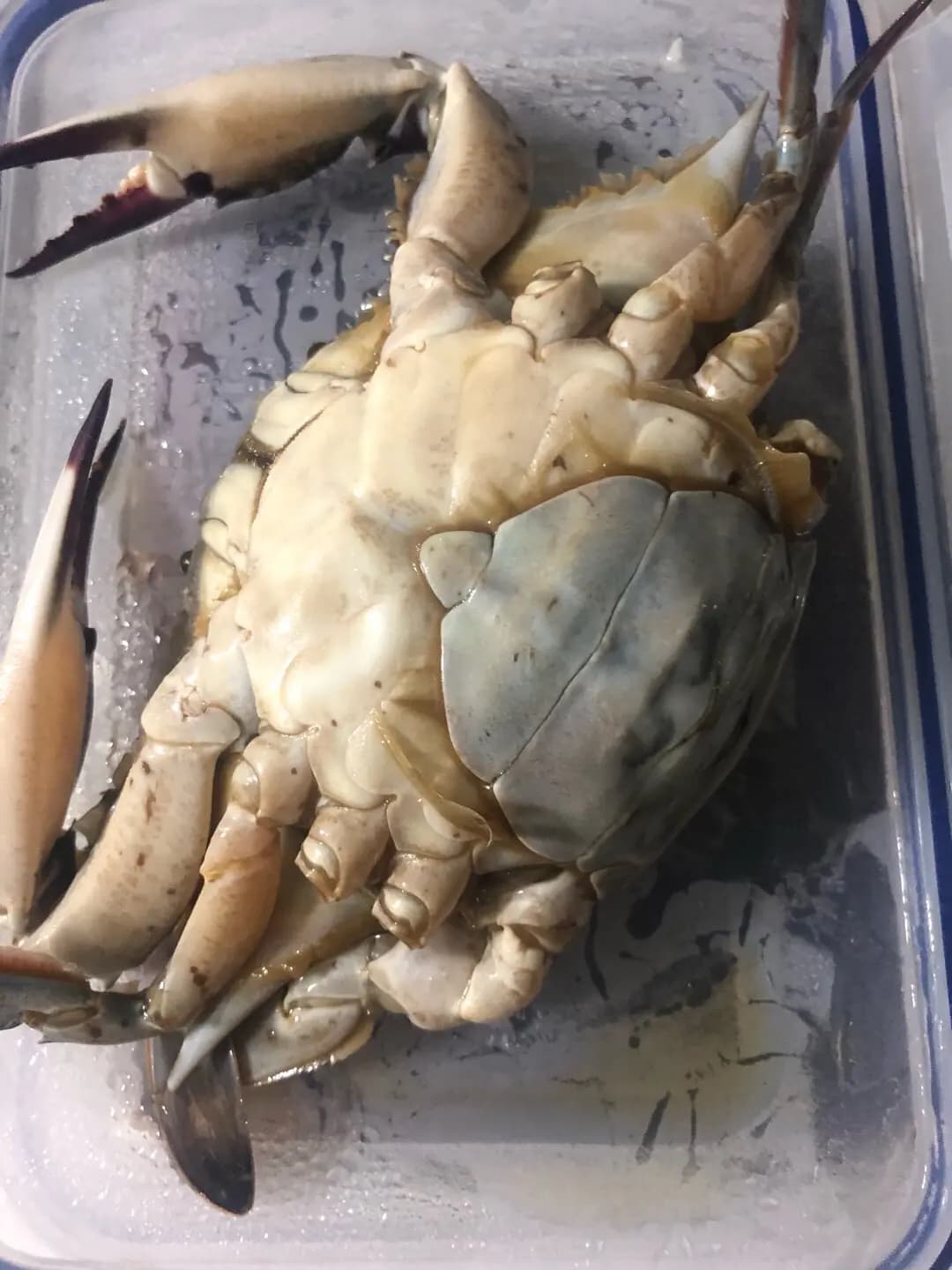 白飯神偷-韓國醬油蟹專門店 photo 2