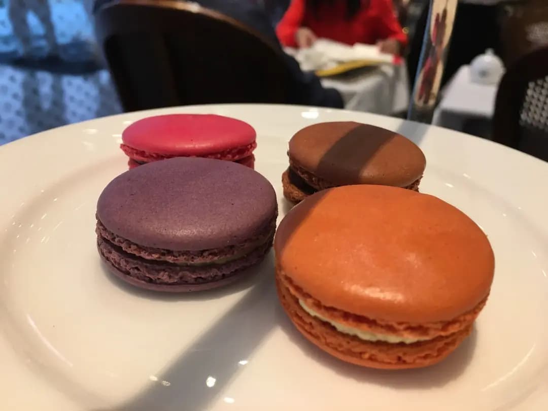 Tea WG Salon & Boutique (國際金融中心商場) photo 6