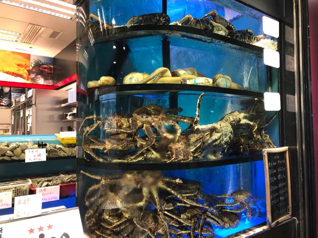 新幹線刺身外賣專門店 photo 4
