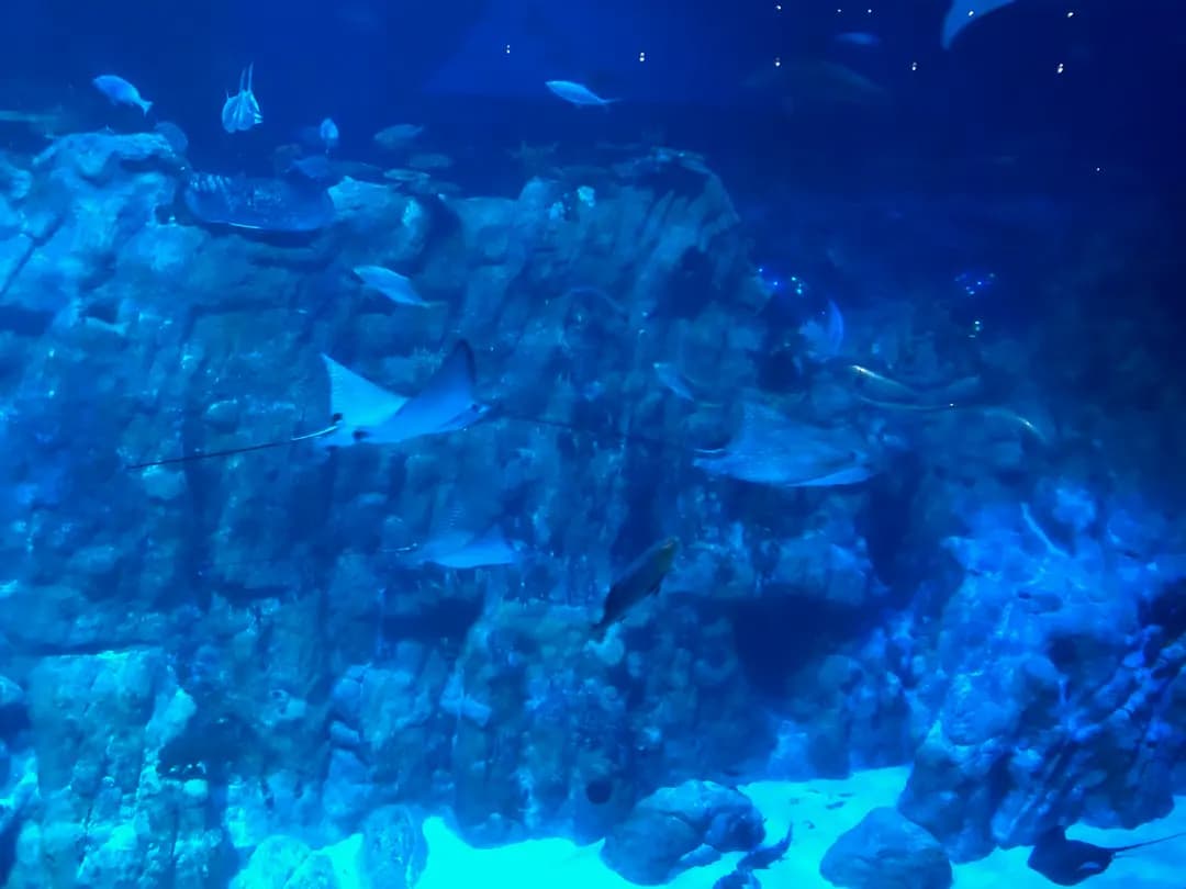 海龍王餐廳 photo 3
