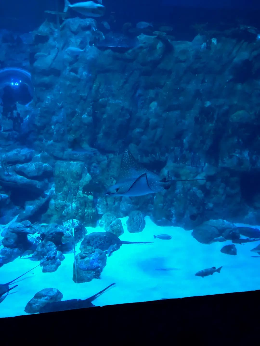 海龍王餐廳 photo 6