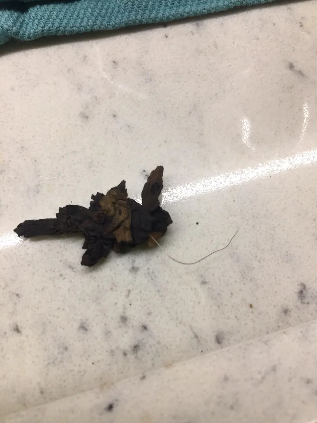 英記茶莊 photo 3