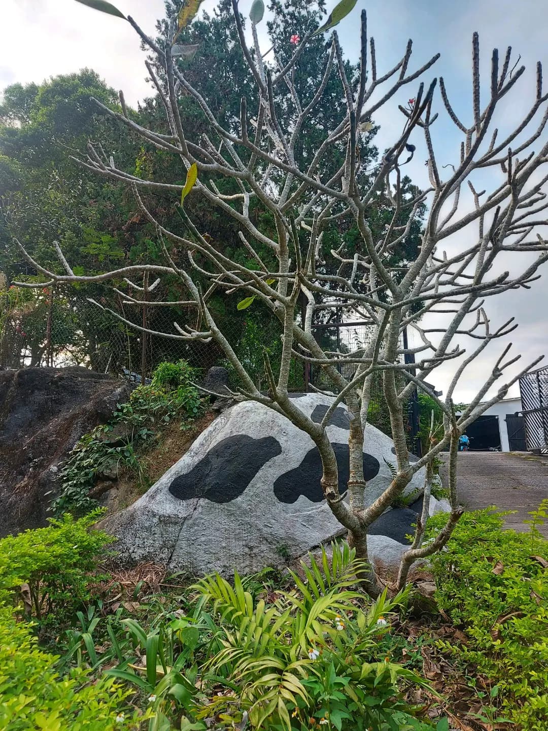 農場鮮奶有限公司 photo 1