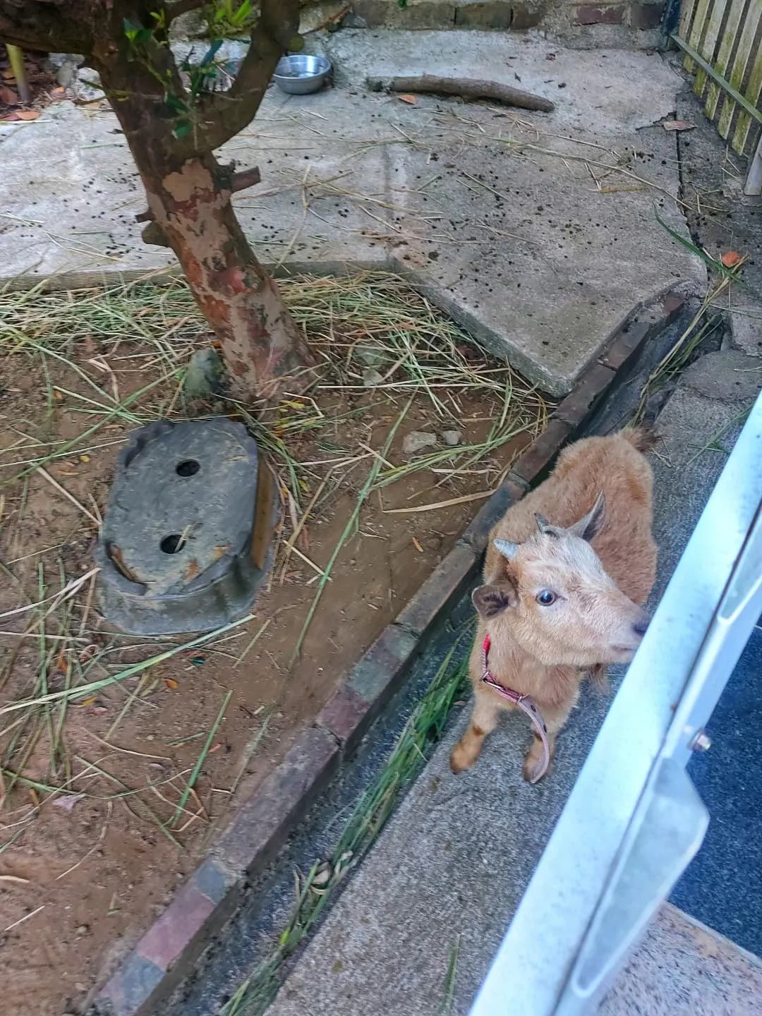 農場鮮奶有限公司 photo 2