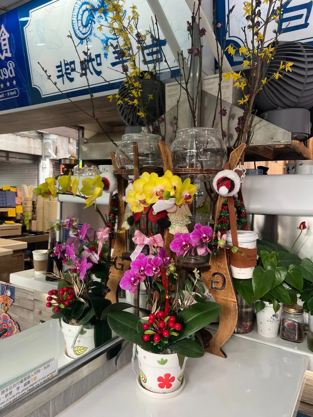 白羊咖啡 (青山坊) photo 1