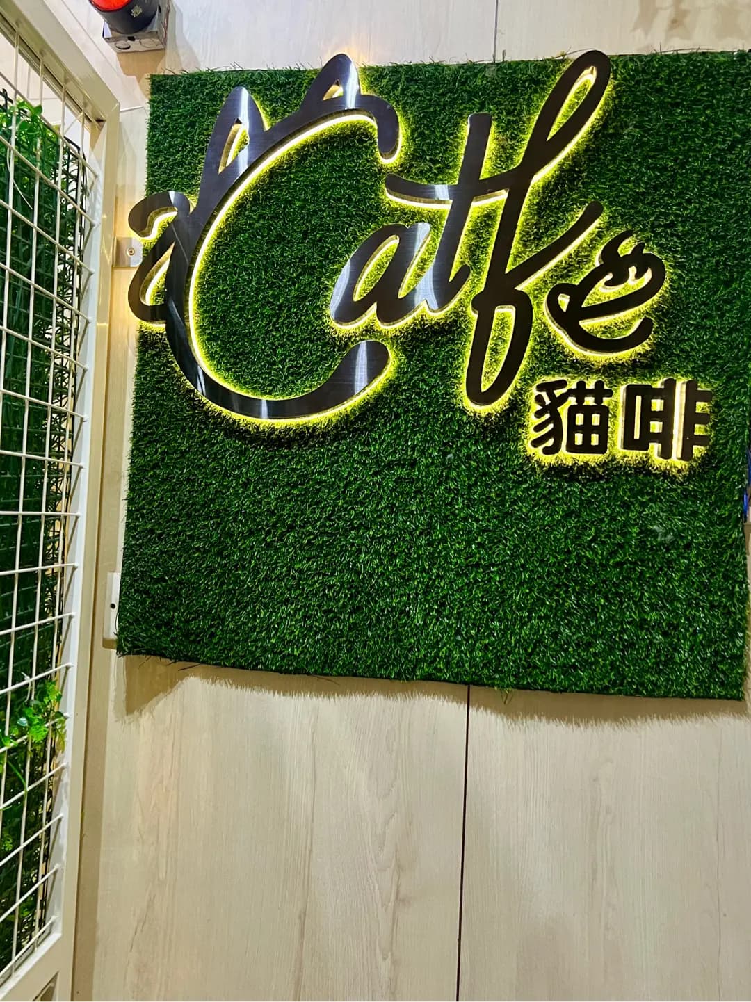 貓啡 photo 1