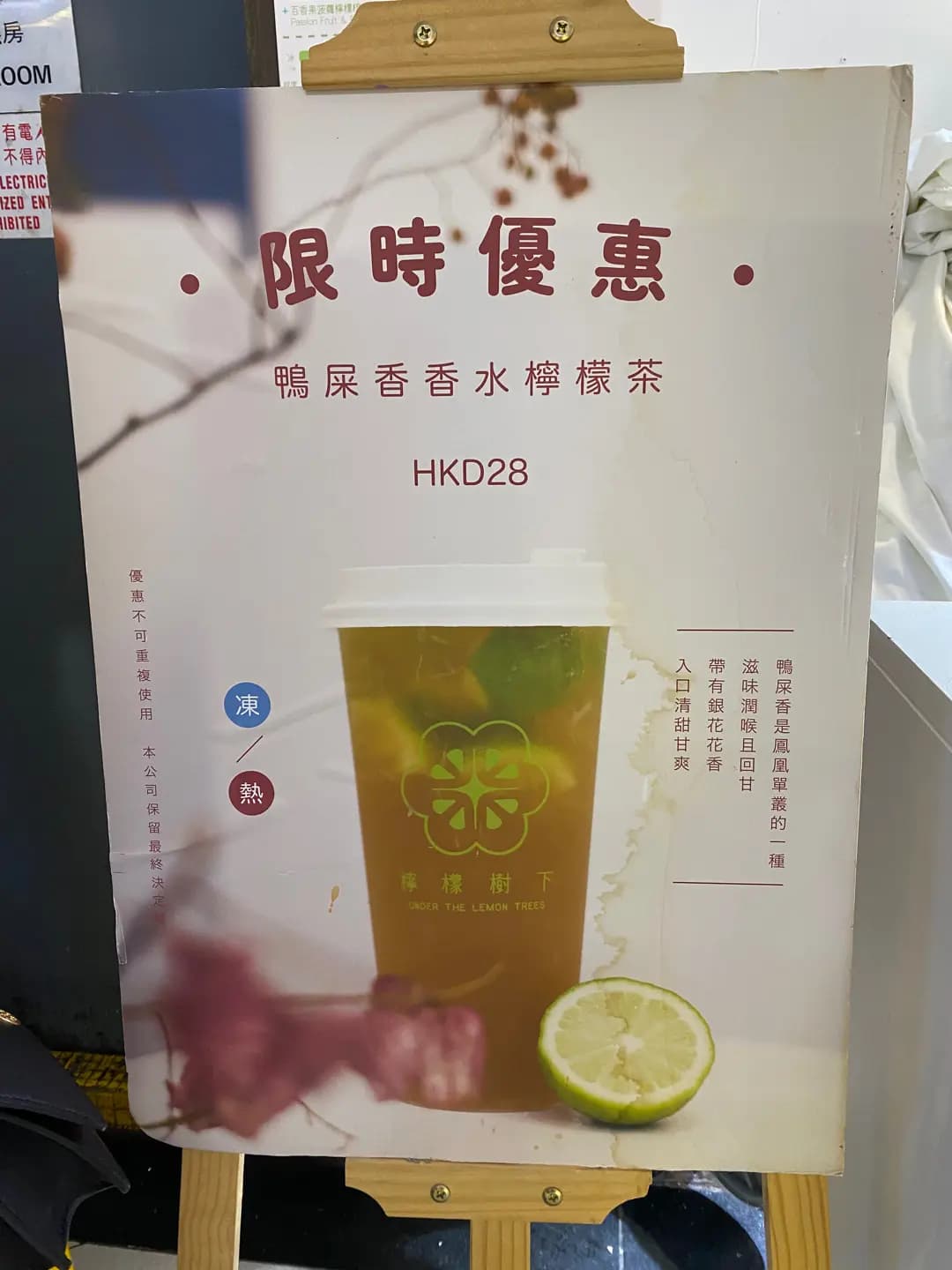 檸檬樹下 photo 1