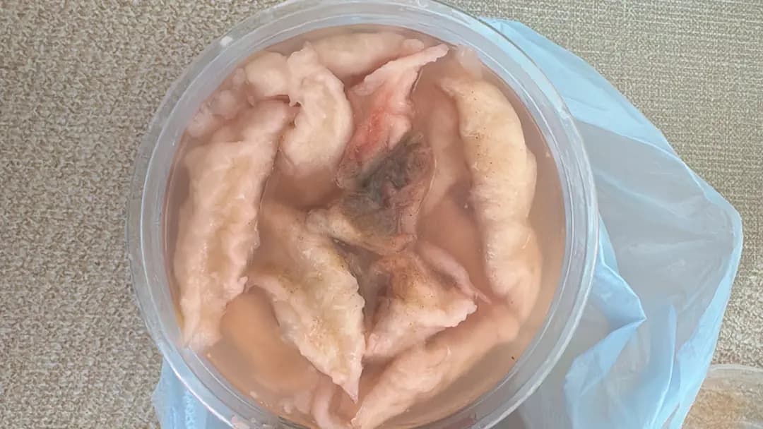 食記餐廳 photo 6
