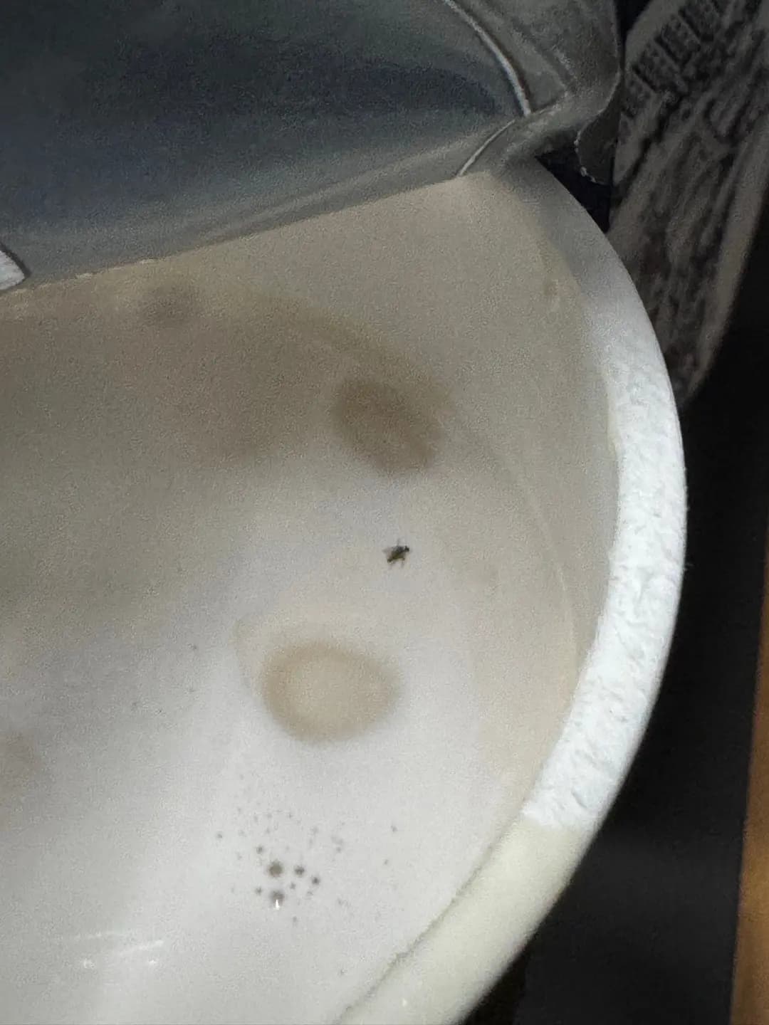 手作功夫茶 (葵涌中心商場) photo 2