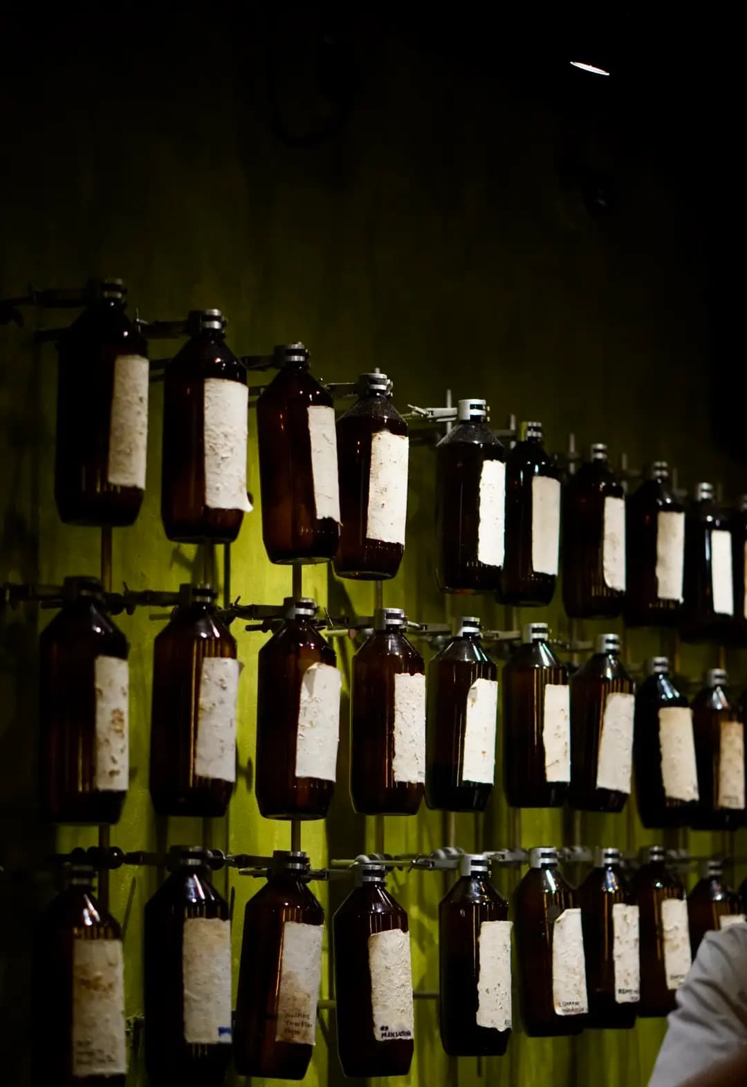 Penicillin photo 2
