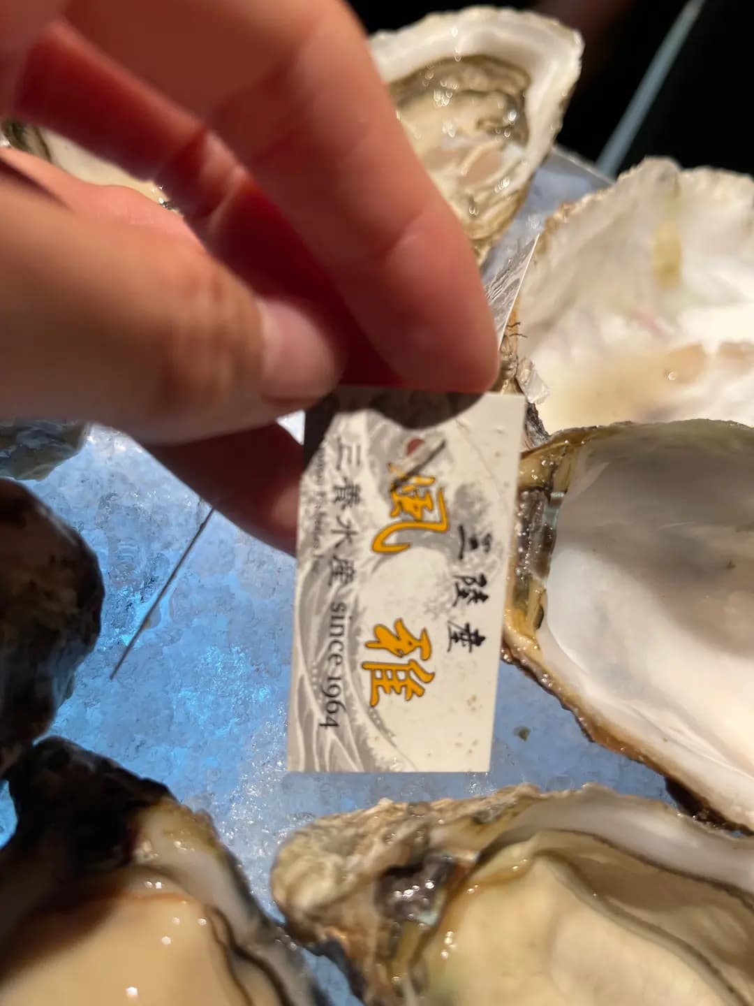 OPEN OYSTER photo 5