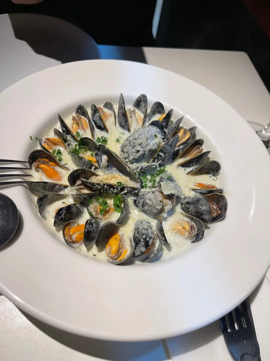 OPEN OYSTER photo 8
