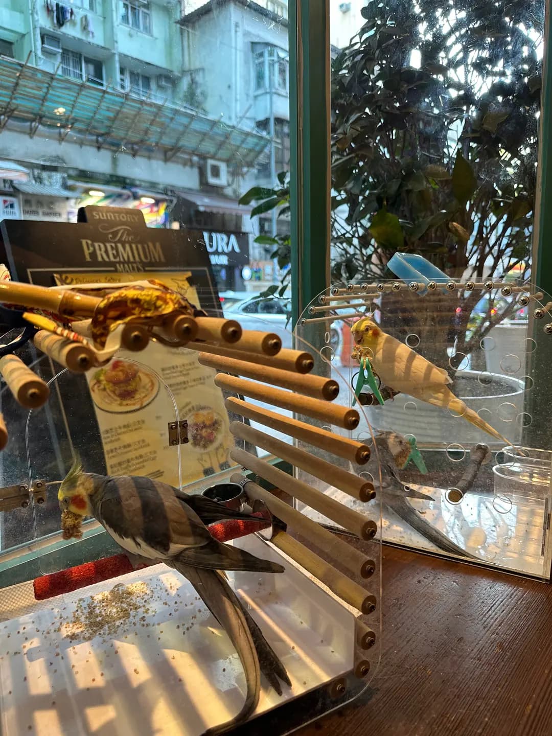 Delicious Eatery photo 7
