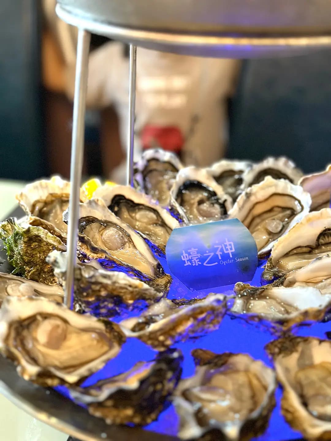 Oyster Season photo 6
