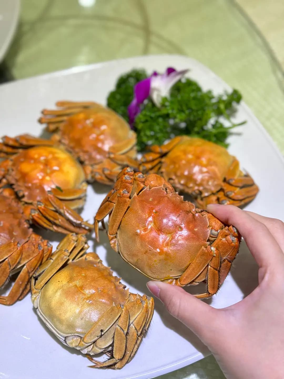 陶源酒家 photo 5