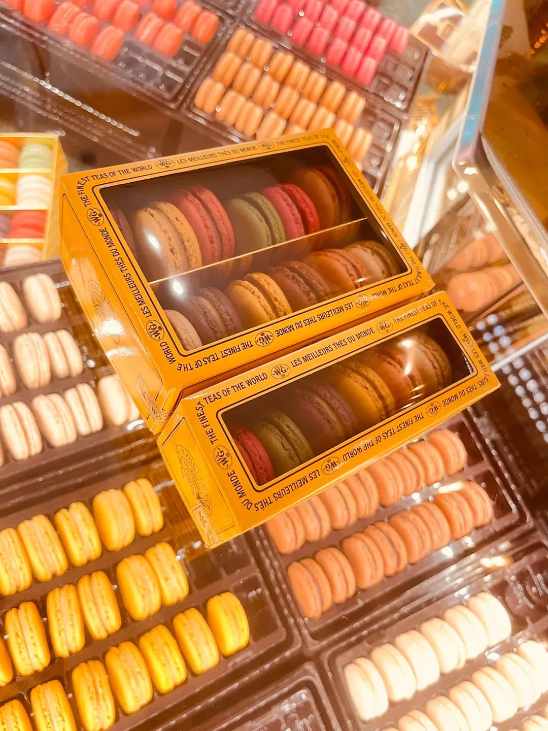 Tea WG Boutique (太古城中心) photo 4