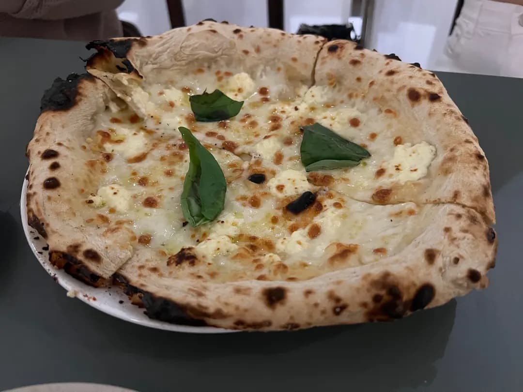 PECORINO photo 3