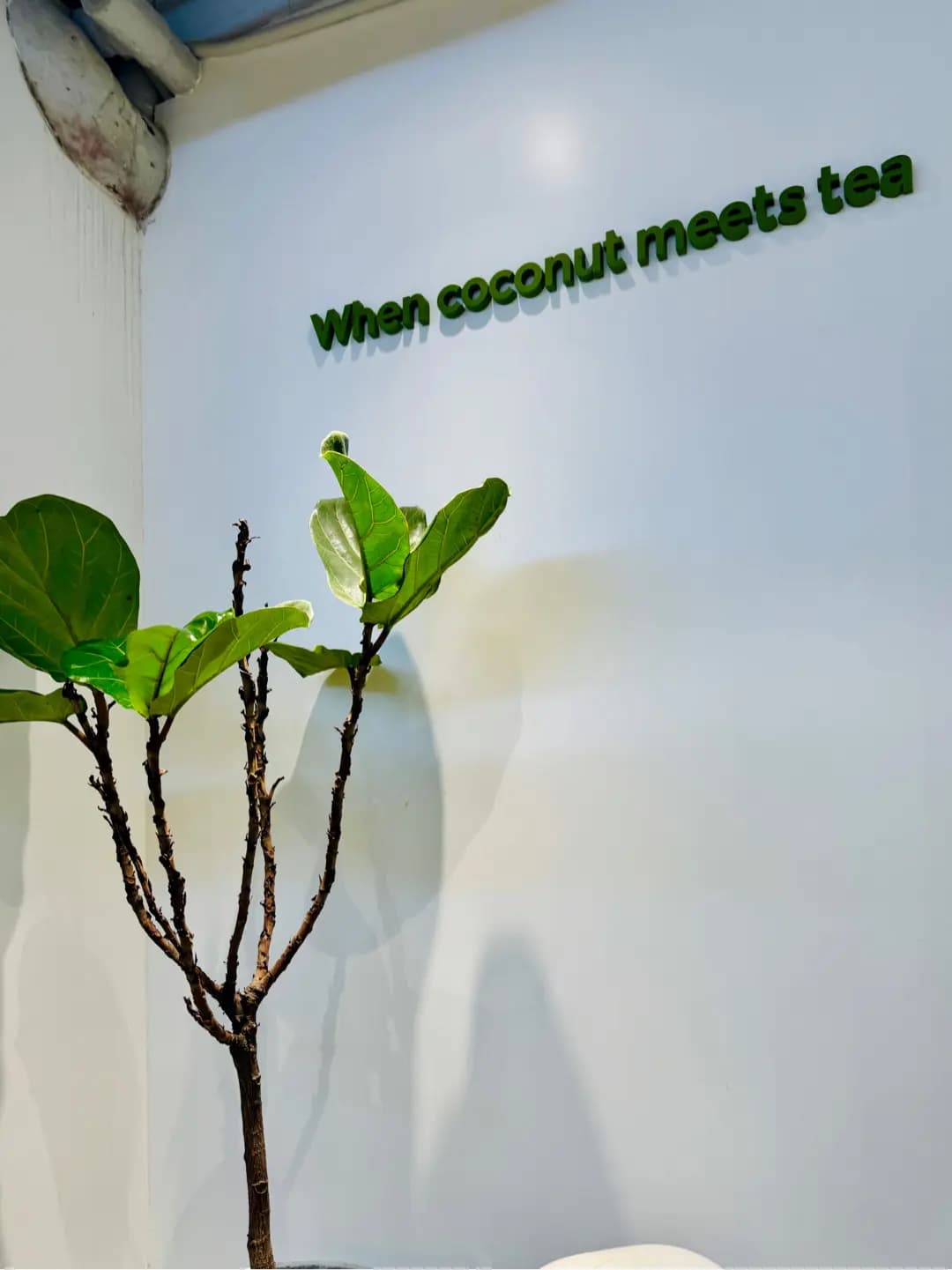 茶大椰 (重慶大廈) photo 6