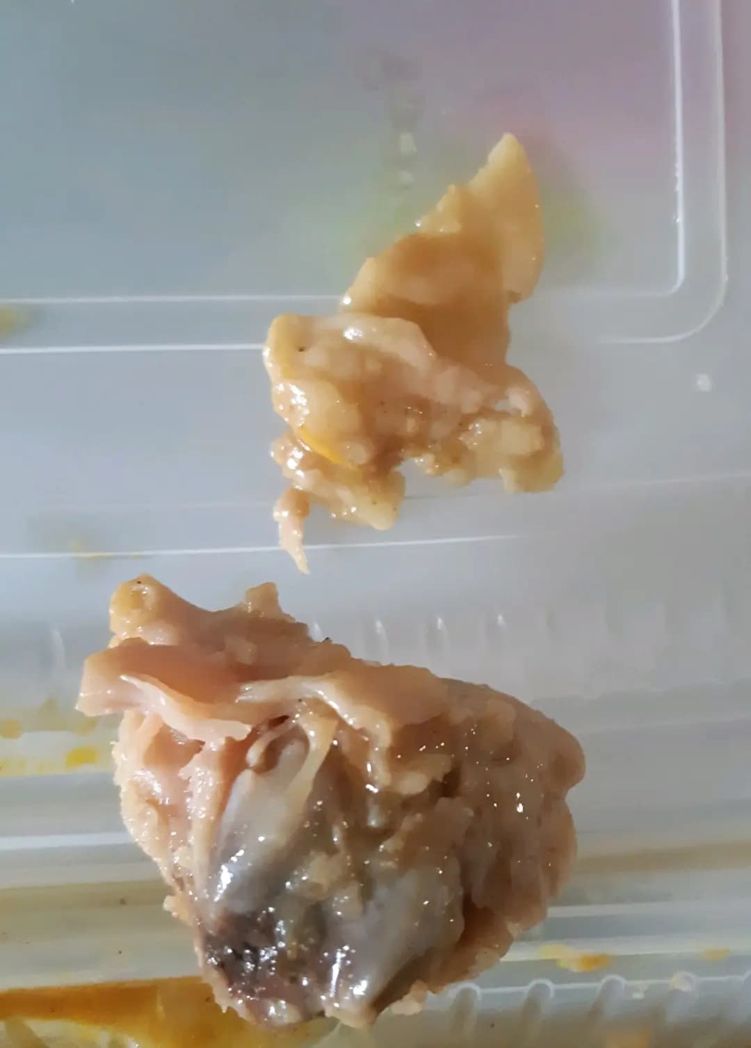 日嚐 (鯉魚門廣場) photo 3