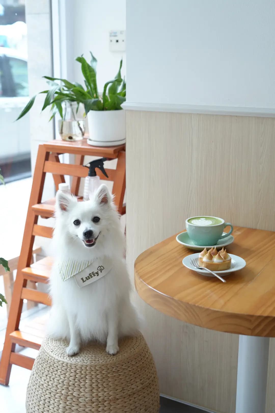 Humain Coffee photo 2