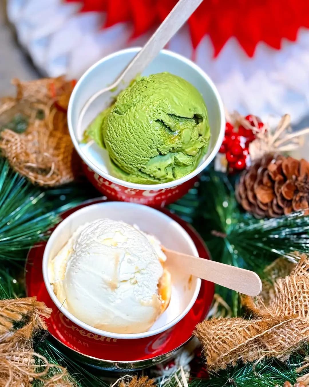 Milk & Cream photo 7