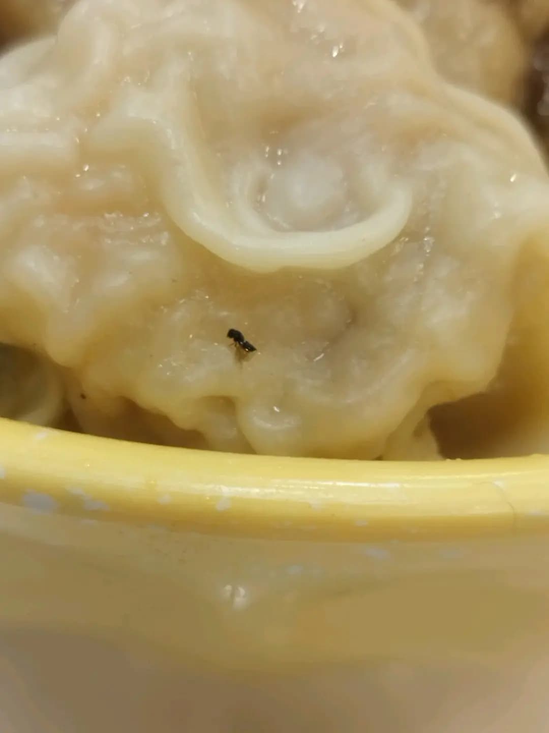 翠苑牛什粉麵專家 photo 7