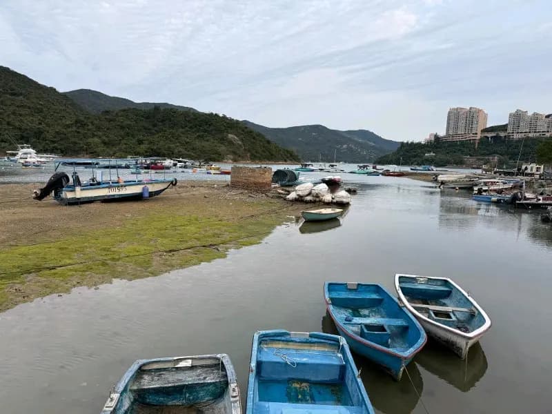 翠華園藝燒烤場 photo 4
