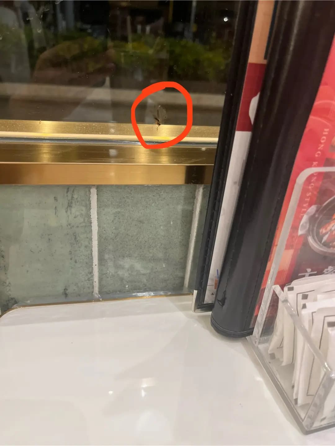 華樂咖啡室 photo 6