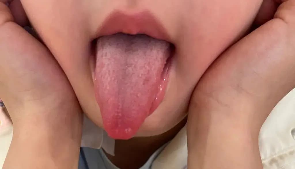 伴日 photo 7