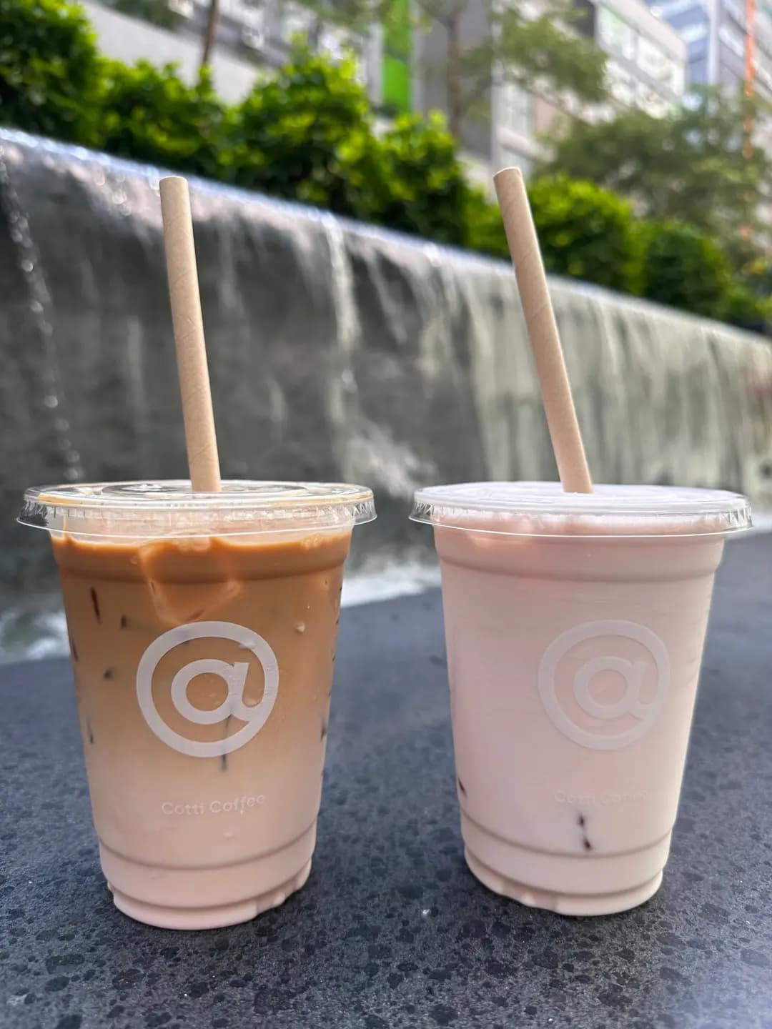 Cotti Coffee (灣景中心) photo 3