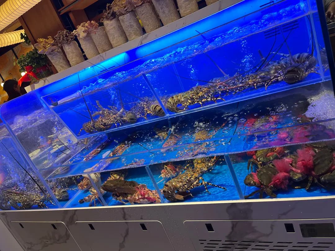 海上鮮海鮮和牛涮涮鍋 photo 2