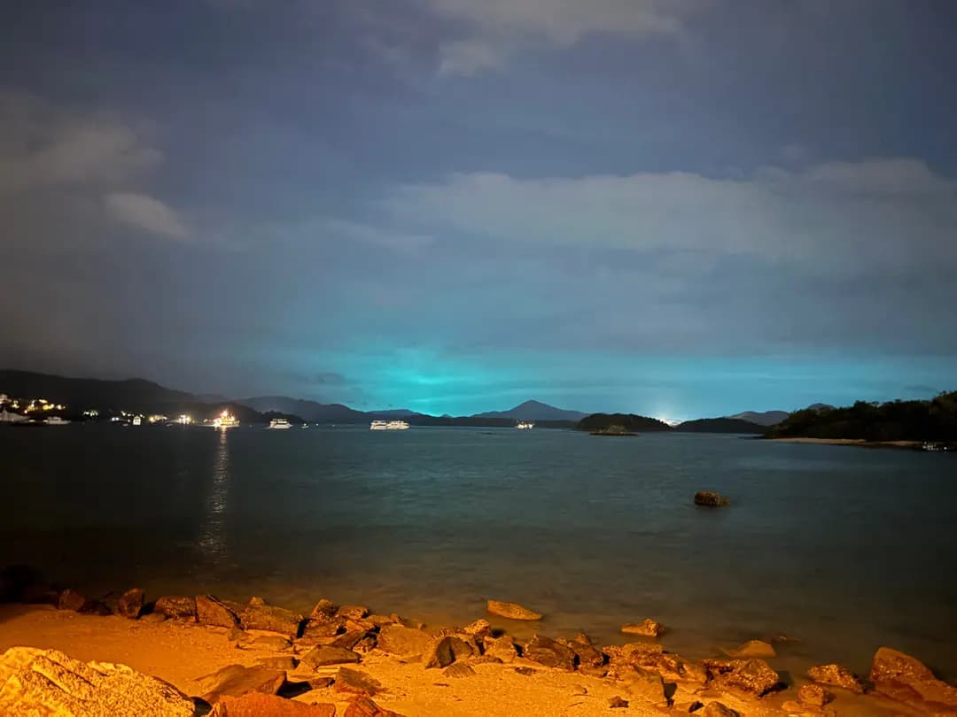 海灣泰 photo 7