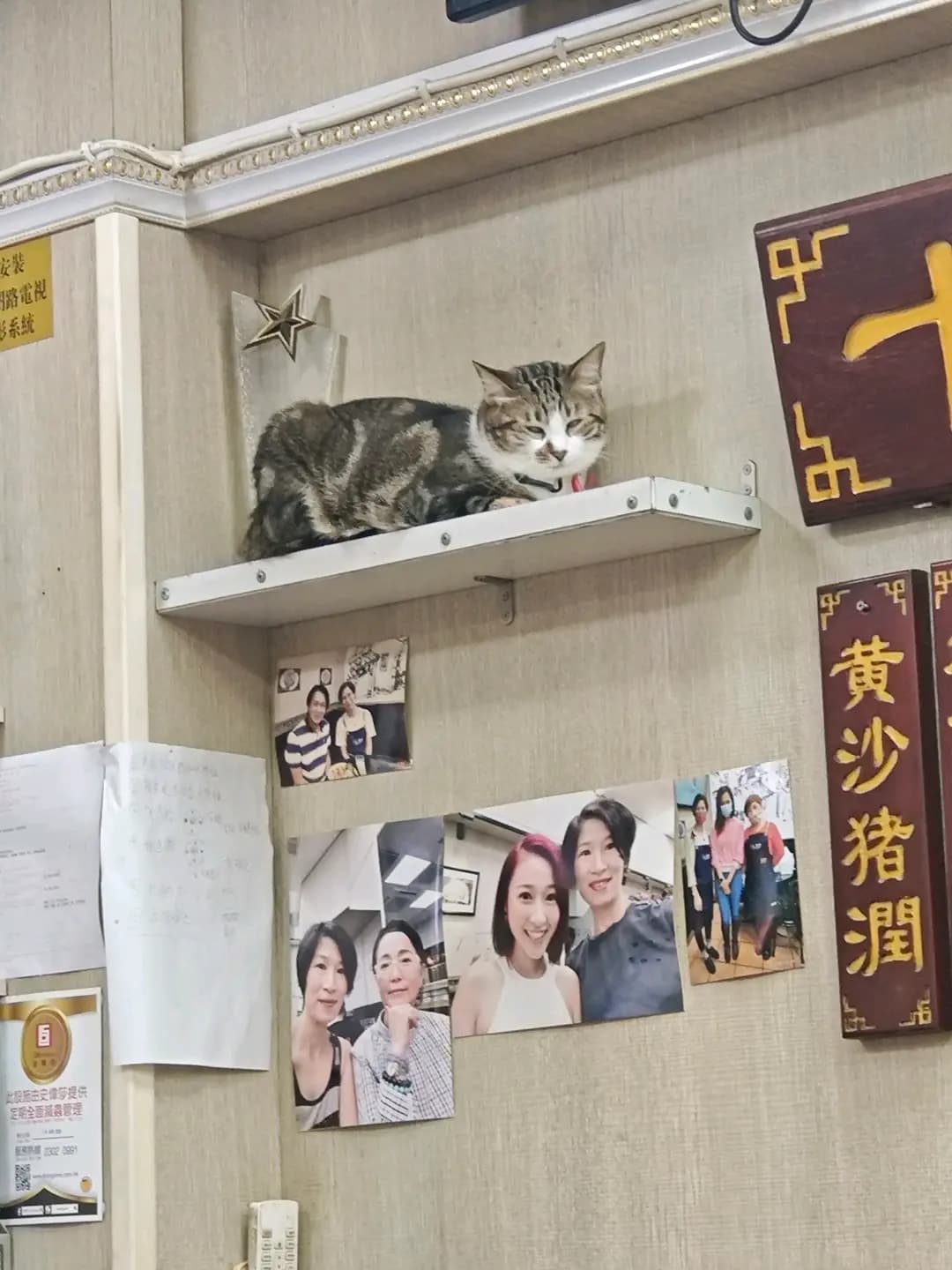 燊記粉麵 photo 3