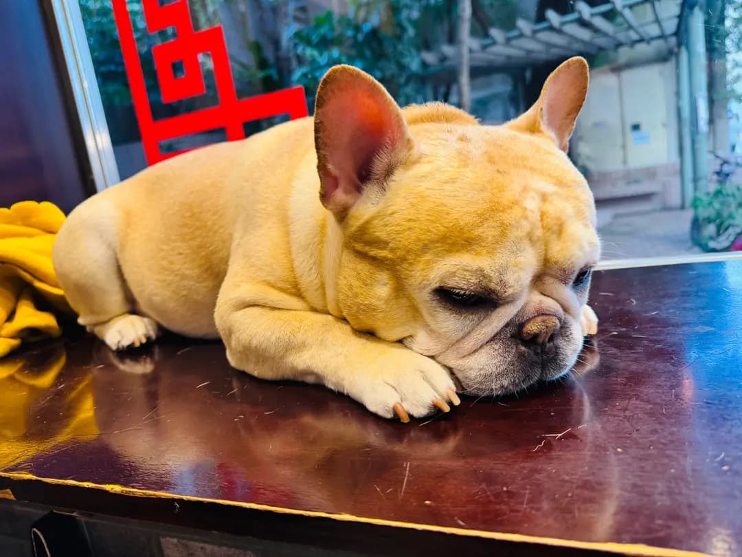 正斗滷鵝 photo 6