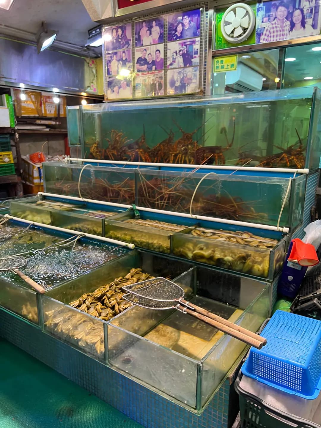 龍如酒家 photo 3