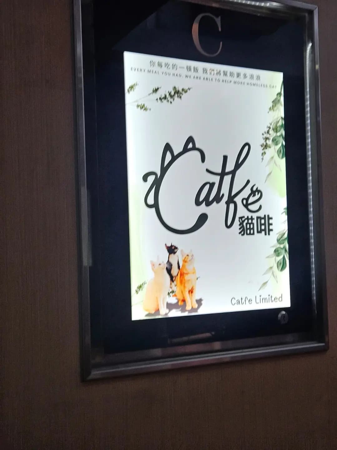 貓啡 photo 3